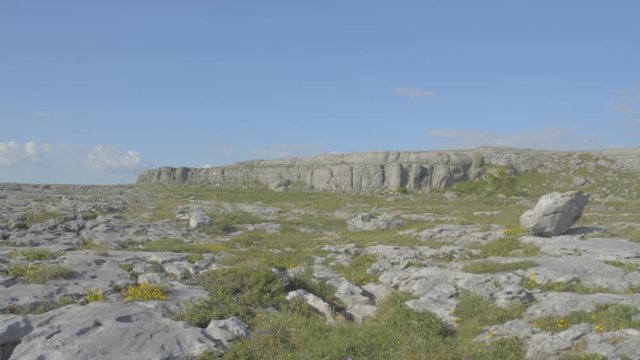 Famous Burren National Park Landscape In County Clare, Ireland, Special Area of Conservation - Flat video profile.