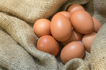 Eggs wrapped in sackcloth