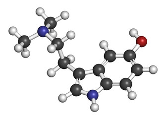 Bufotenin molecule. Tryptamine present in several psychedelic toads.