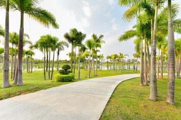 Landscape with jogging track at green park , Palm tree at green garden with jogging track and no people