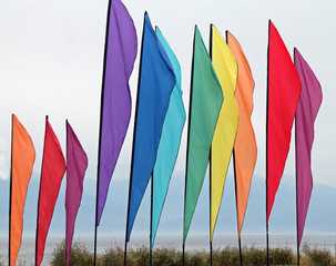 Multicolored Flags Flying at the Beach