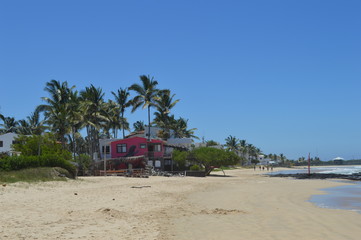 Playa paradisiaca en la isla Isabela (Galapagos)