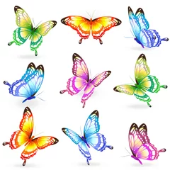 Papier Peint photo Papillons conception de papillons
