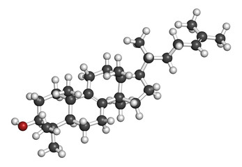 Lanosterol molecule. Investigated for treatment of cataract. 