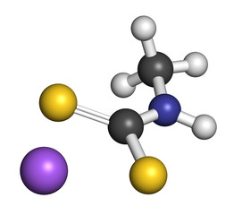 Metam sodium pesticide molecule. 3D rendering. 