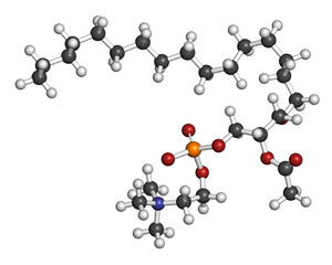Platelet Activating Factor (PAF) signaling molecule. 