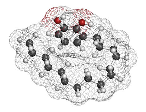 Urushiol poison ivy allergen molecule. 