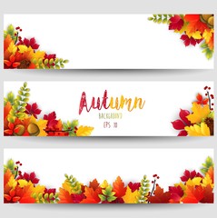 Naklejka na ściany i meble Colorful autumn leaves banners