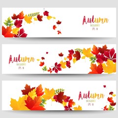 Naklejka na ściany i meble Colorful autumn leaves of banners