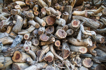 Piled up firewood behind Halwa factory in Nizwa, Oman