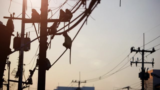 Lopburi city in Thailand, thousands of macaque monkeys live in freedom.
During the monkey festival, at the sunset  hundreds of monkey climb on the electric cables.
