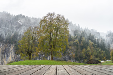 Naklejka na ściany i meble Empty wooden terrace with countryside view on background