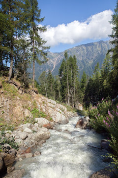 Mountain river in summertime
