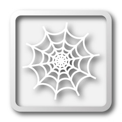 Spider web icon