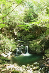 Obraz premium 犬鳴山