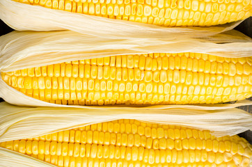 Close up of fresh corn
