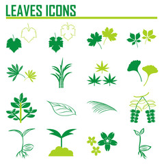 Set of green leaves design elements. This image is a vector illu