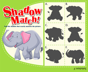 Game template for shadow matching elephant