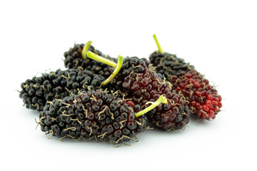 mulberry isolated on white background
