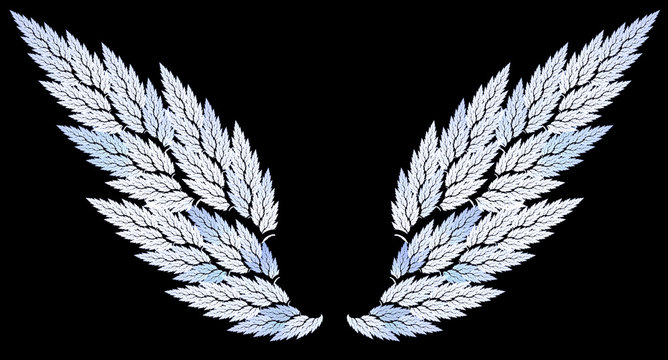 Fractal wings illustration
