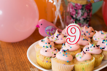9th birthday cupcakes horizontal