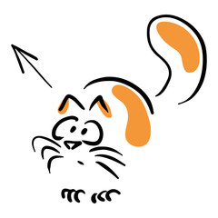 Cat looking in the direction of the arrow