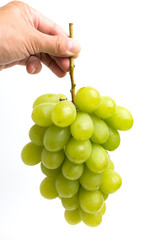 ブドウ　ロザリオ・ブランコ