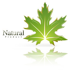 Fototapeta premium Premium green leaf icon.