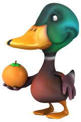 Fun duck