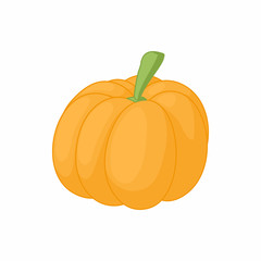 Pumpkin icon in cartoon style