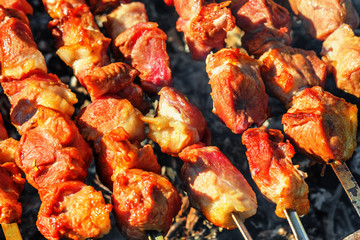 Pork shashlik