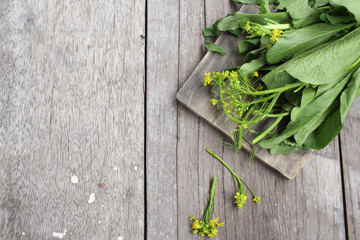 Choy with yellow flowers