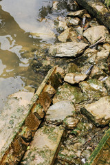 Large concrete pillars which buried on the stones banks of the river to the dam, water soil erosion near homes.