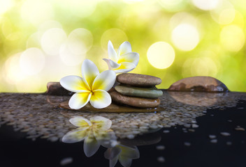 White and yellow fragrant flower plumeria or frangipani on water with green bokeh relax background