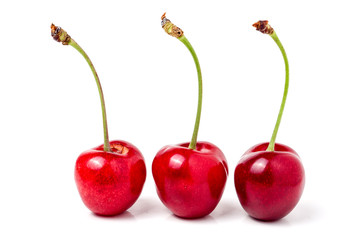 Three sweet cherry closeup isolated on white background