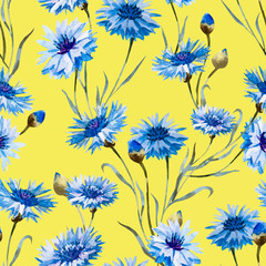 Cornflower watercolor pattern