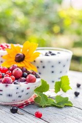 Spring garden cocktails fruit currants