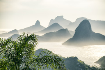 Fototapeta na wymiar City skyline scenic overlook of Rio de Janeiro, Brazil with Niteroi, Guanabara Bay, and Sugarloaf Mountain through palm fronds