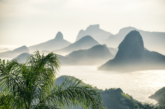 City skyline scenic overlook of Rio de Janeiro, Brazil with Niteroi, Guanabara Bay, and Sugarloaf Mountain through palm fronds