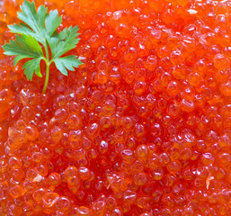 red salmon caviar