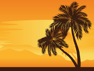 Palm Tree at Sunset