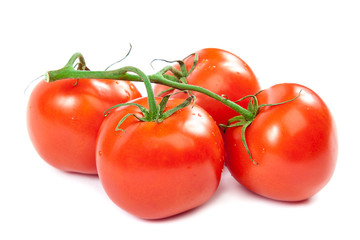 Branch tomatoes on white background.