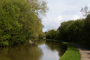 Fototapeta na wymiar View along the canal path at Bude, Cornwall
