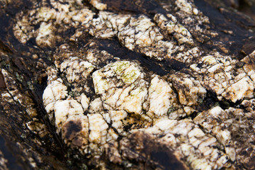 Close up of rocks. Good for texture.