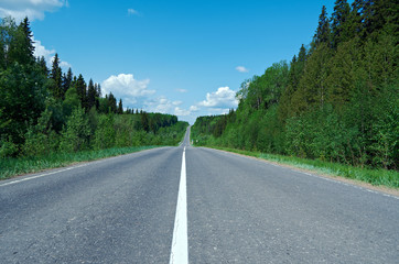 road in Russian forest