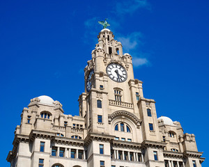Fototapeta premium Liver Building