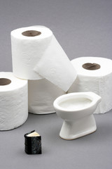 reading in the bathroom