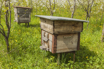 Old bee houses