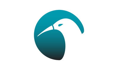 Bird Logo Design