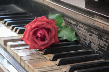 Vintage antique piano keyboard
